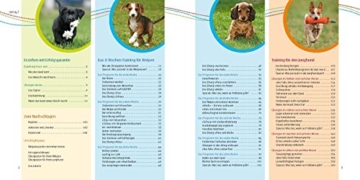 Welpen-Erziehung: Der 8-Wochen-Trainingsplan für Welpen. Plus Junghund-Training vom 5. bis 12. Monat (GU Tier Spezial) - 4