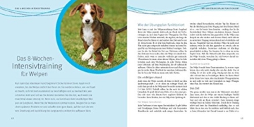 Welpen-Erziehung: Der 8-Wochen-Trainingsplan für Welpen. Plus Junghund-Training vom 5. bis 12. Monat (GU Tier Spezial) - 5