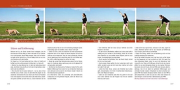 Welpen-Erziehung: Der 8-Wochen-Trainingsplan für Welpen. Plus Junghund-Training vom 5. bis 12. Monat (GU Tier Spezial) - 8